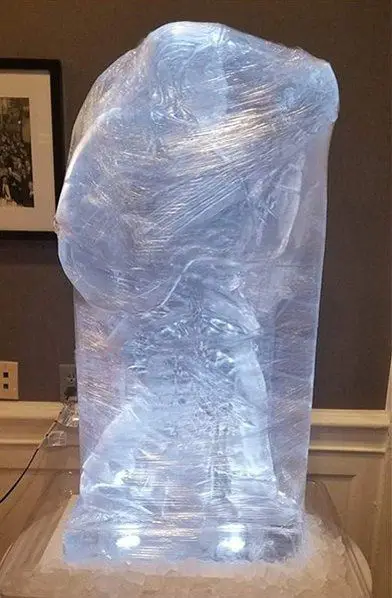 Ice sculpture