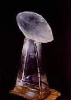 Raven's Party Ice Sculpture